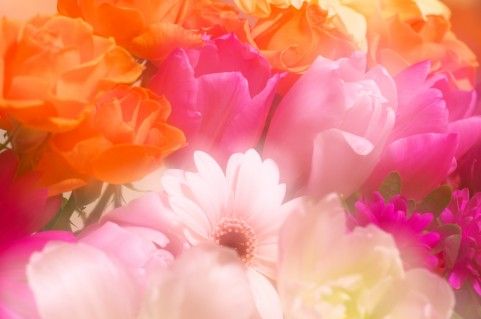 JPEG品質80の画像